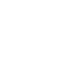 Logo Repubblica Italiana bianco